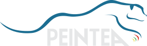 Logo Peintea, client DICREA