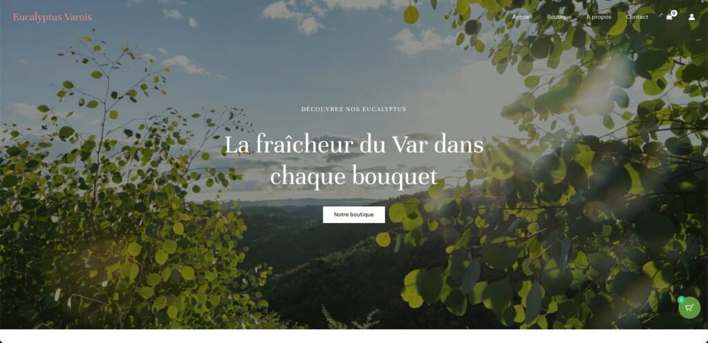 Création boutique e-commerce eucalyptus-varois.fr
