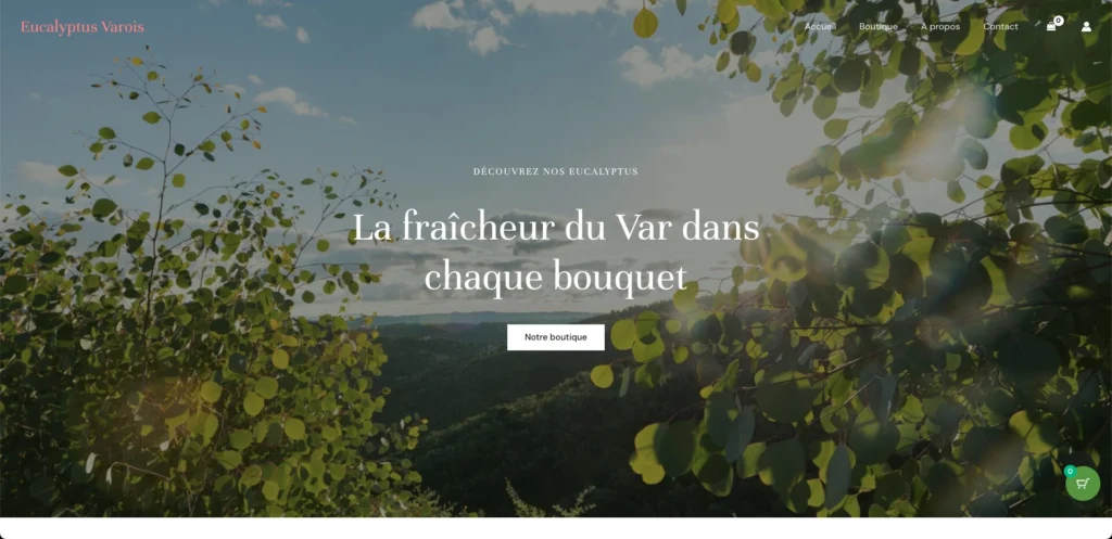 Création boutique e-commerce eucalyptus-varois.fr